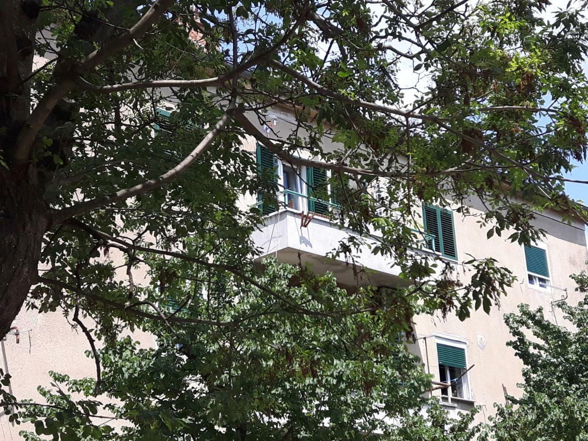 Apartment Sunny Place Zadar Bagian luar foto